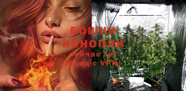 ешки Касимов