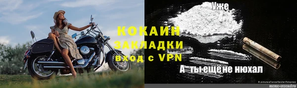 ПСИЛОЦИБИНОВЫЕ ГРИБЫ Карталы