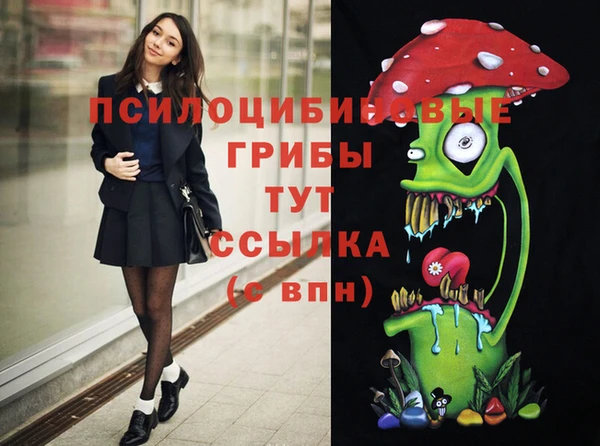 ПСИЛОЦИБИНОВЫЕ ГРИБЫ Карпинск