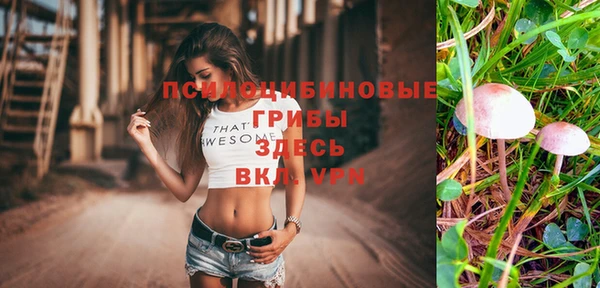 ПСИЛОЦИБИНОВЫЕ ГРИБЫ Карталы