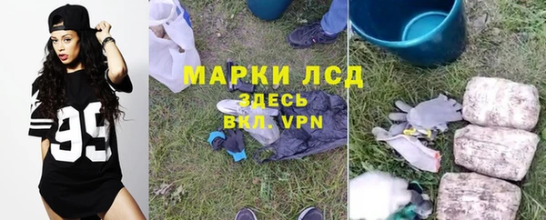 ПСИЛОЦИБИНОВЫЕ ГРИБЫ Карпинск