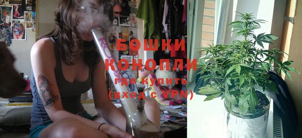 ПСИЛОЦИБИНОВЫЕ ГРИБЫ Карталы