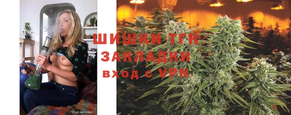 индика Зерноград