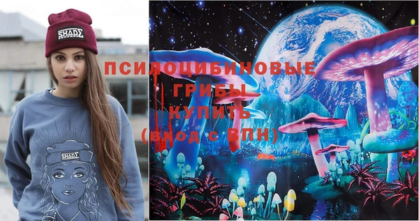 ПСИЛОЦИБИНОВЫЕ ГРИБЫ Карпинск