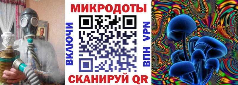 Купить закладки  Кяхта  Галлюциногенные грибы Magic Shrooms 