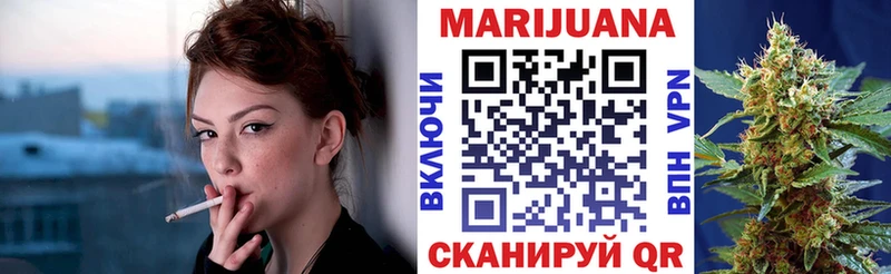 Конопля сатива  Купить  Кяхта 